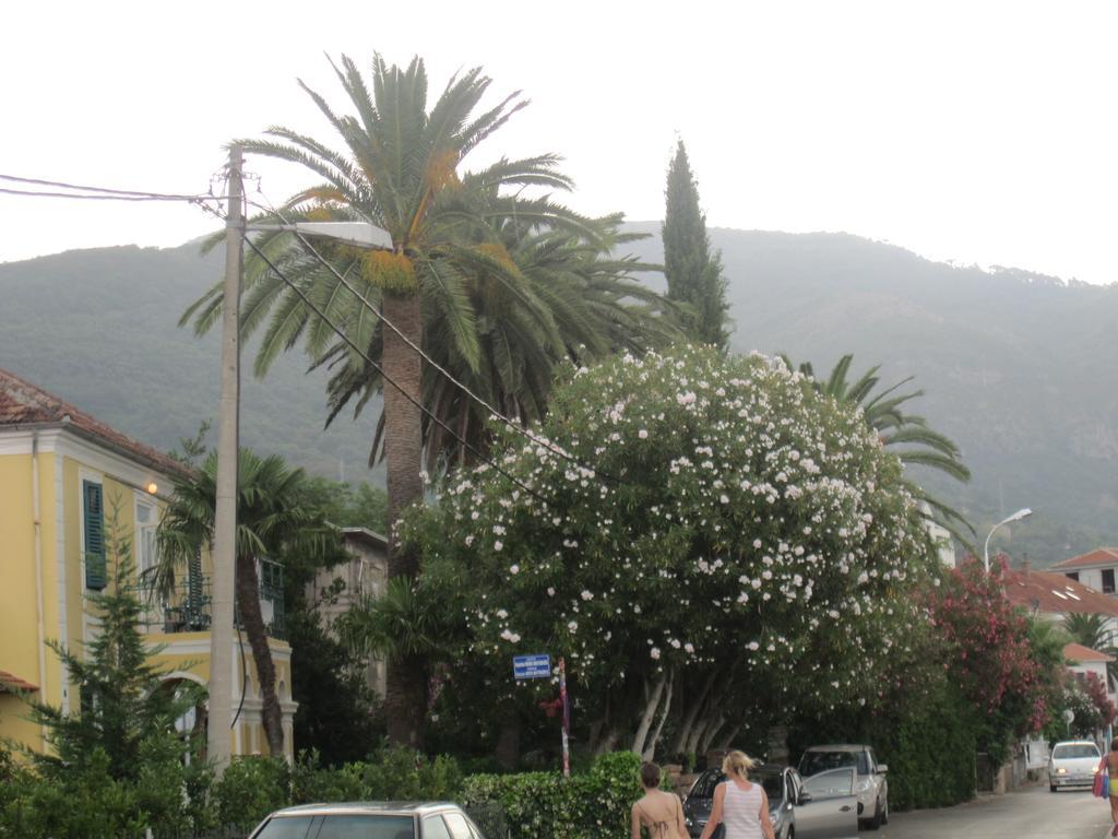 Apartments Delfin Tivat Dış mekan fotoğraf